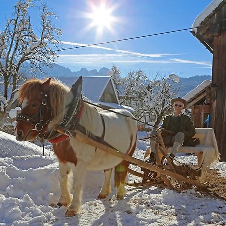 Вилла Schwadenguetl Гозау Экстерьер фото