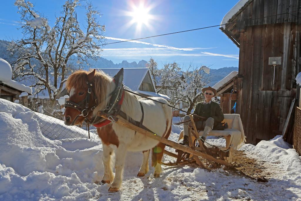 Вилла Schwadenguetl Гозау Экстерьер фото